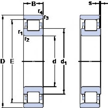 Rolando N 321 ECP SKF