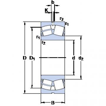 Rolando 23226 CC/W33 SKF