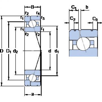 Rolando 7020 ACE/P4AL1 SKF