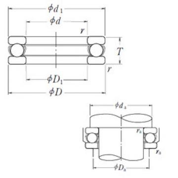 Rolando 51203 NSK