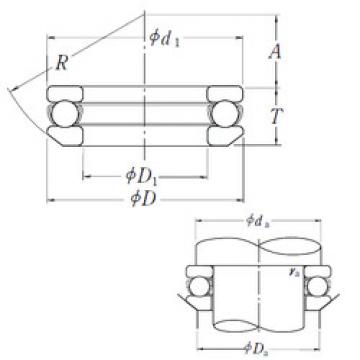 Rolando 53406 NSK