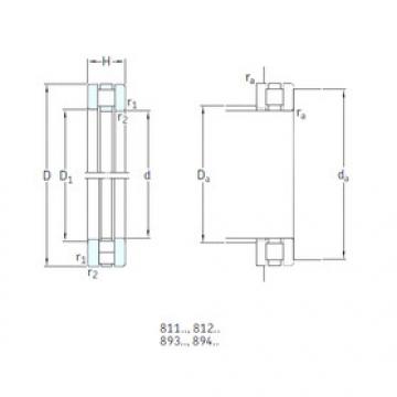 Rolando 81126TN SKF