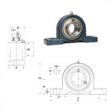 Rolando UCP211-32 FYH