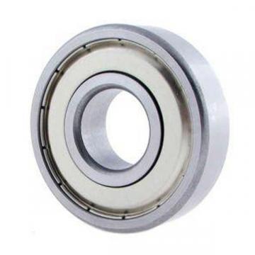 6011ZZNC3, New Zealand Single Row Radial Ball Bearing - Double Shielded, Snap Ring Groove