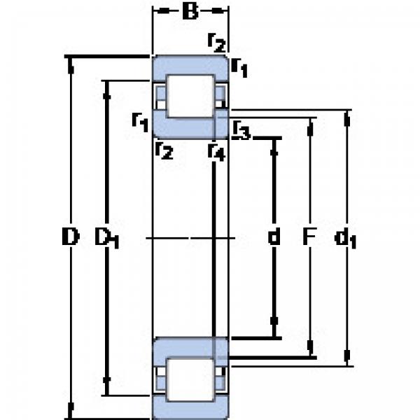 Rolando NUP 313 ECJ SKF #1 image